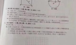 安徽中考数学答题卡是什么样子的